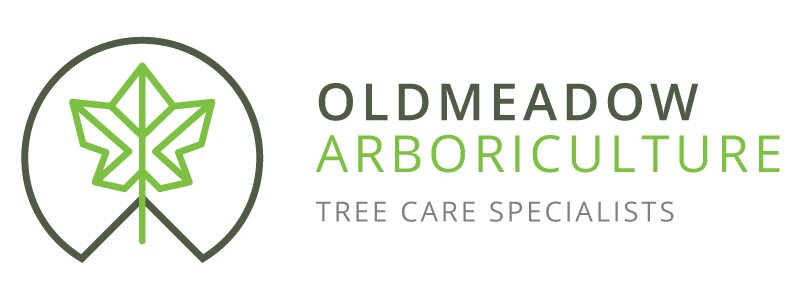 Oldmeadow Arboriculture